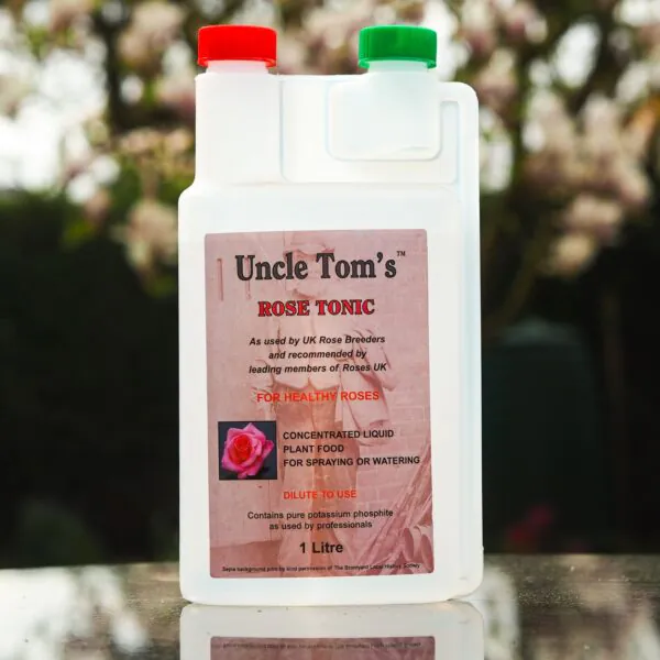 Uncle Tom's Rose Tonic
