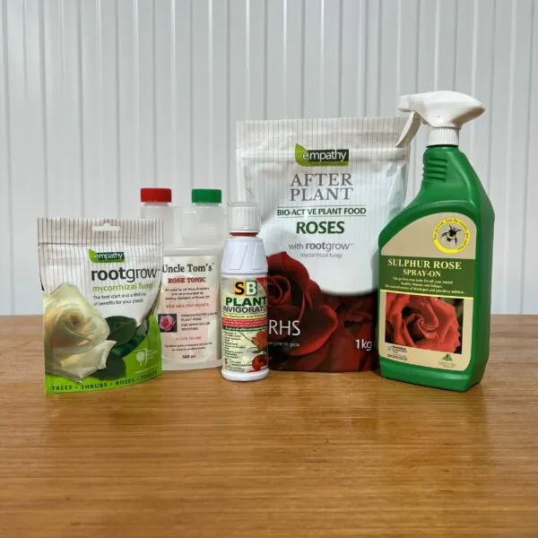Essential Aftercare Starter Pack
