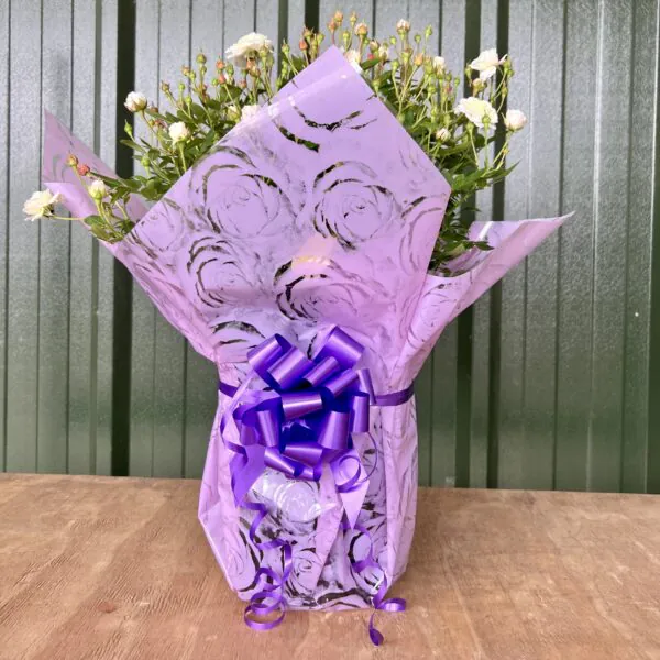 Rose gifts| Gift a rose plant | Style Roses