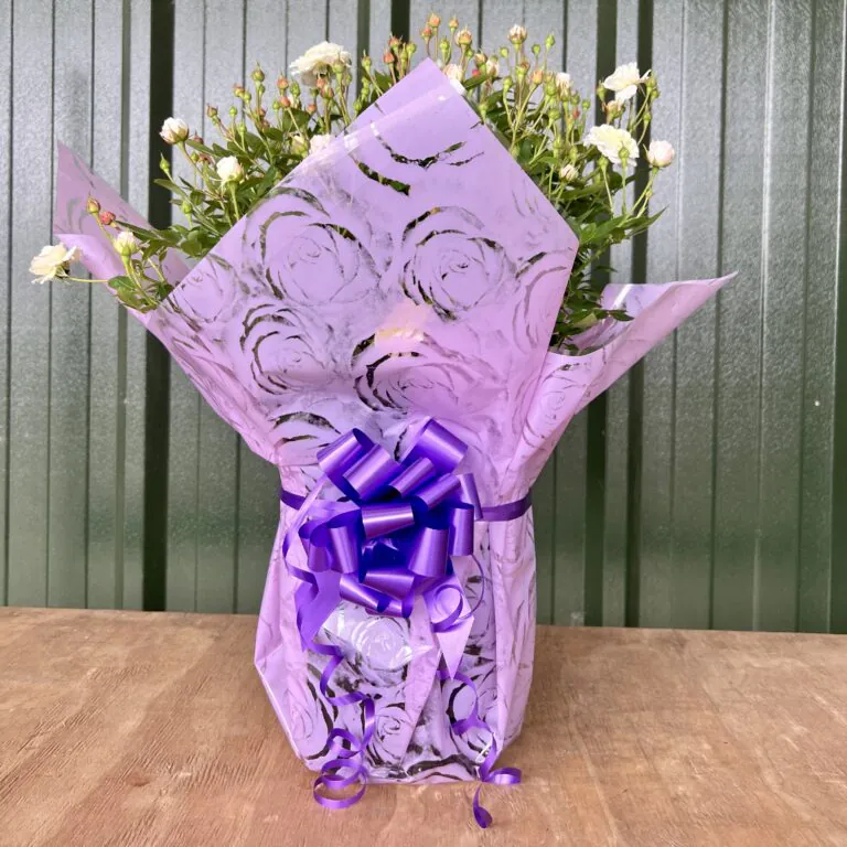 Rose gifts| Gift a rose plant | Style Roses